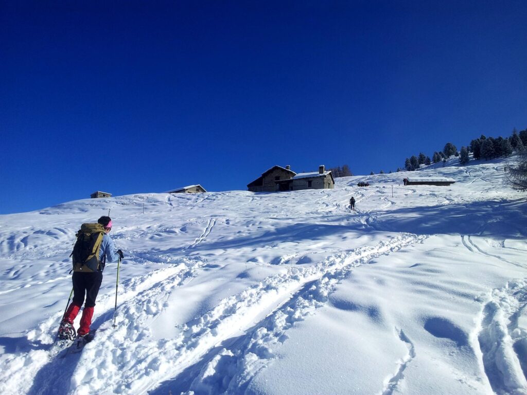 Ecco finalmente l'alpeggio, nella sua bella location in pieno sole e con ottima vista verso valle.