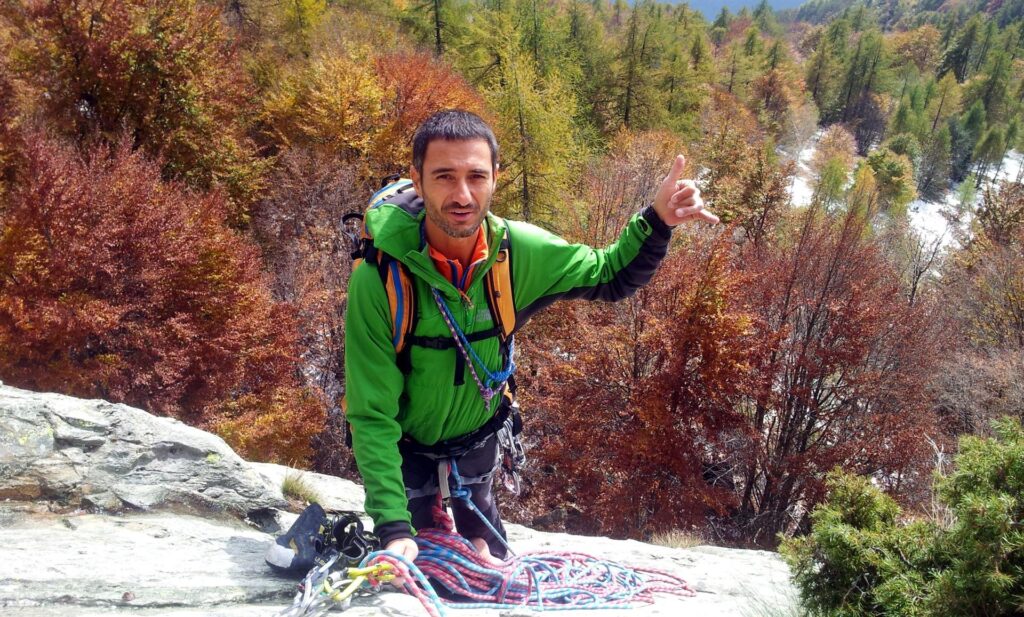 galletto alla terza sosta, soddisfatto e divertito, con sullo sfondo i meravigliosi alberi colorati dalla stagione galletto alla terza sosta, soddisfatto e divertito, con sullo sfondo i meravigliosi alberi colorati dalla stagione
