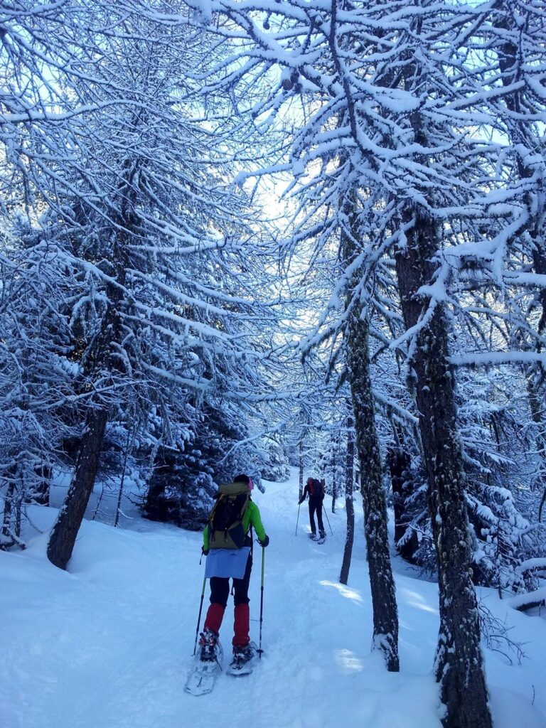 Ecco Erica nella selva oscura successiva. Tagliando a cazzo in discesa per sto bosco, ho rischiato la morte una decina di volte...