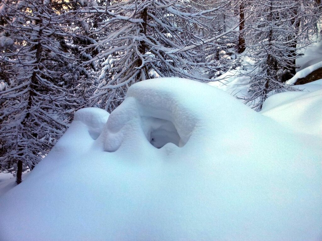 cumuli di neve