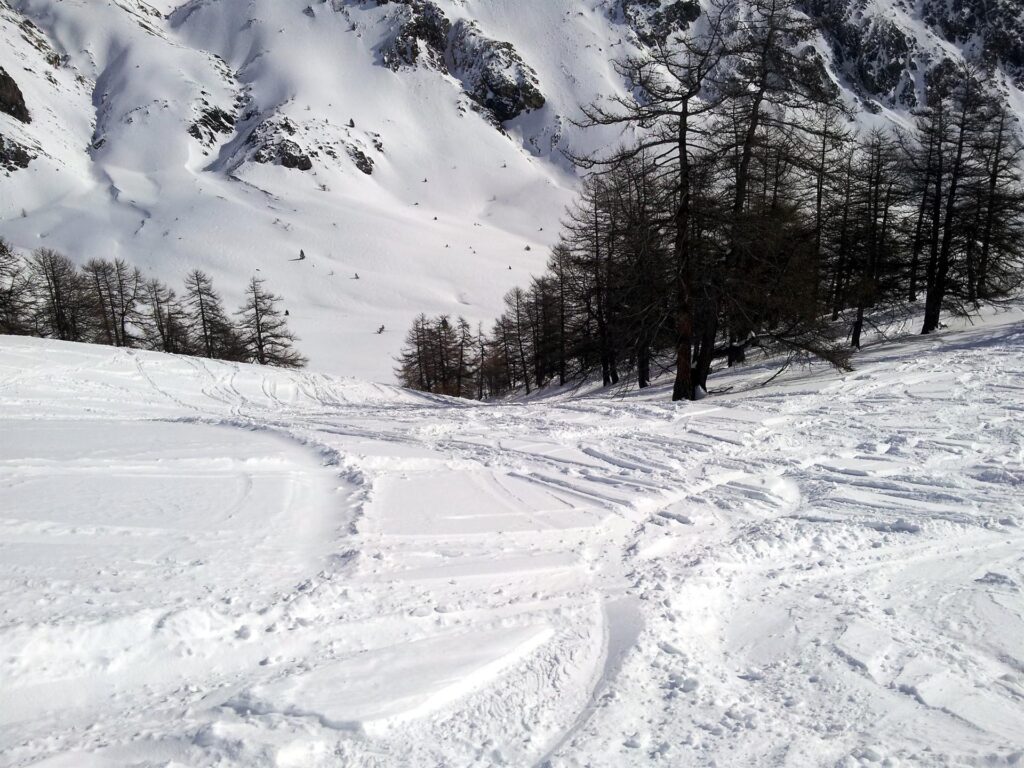 Superata la zona dei gobboni, si arriva su un bel tratto di discesa in fresca, con sprazzi di boschetto molto carino e con neve paura. Qui mi sono divertito un botto!! Superata la zona dei gobboni, si arriva su un bel tratto di discesa in fresca, con sprazzi di boschetto molto carino e con neve paura. Qui mi sono divertito un botto!!