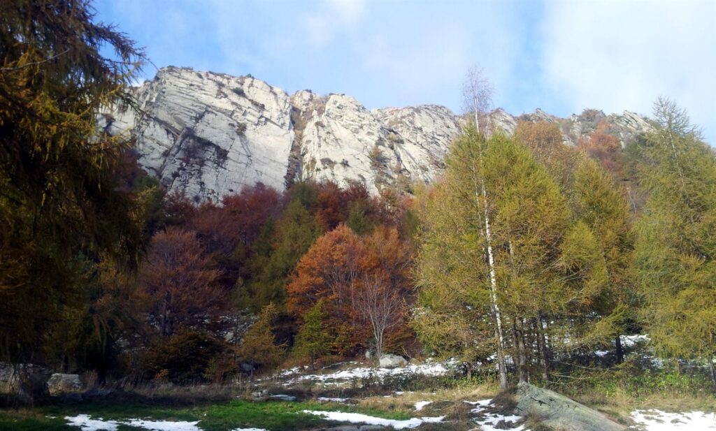 ecco lo splendido settore su cui abbiamo scalato oggi. ambiente da favola e vie di placca molto molto carine, agibili tutto l'anno grazie alla quota media (tra i 1200 e i 1400). ecco lo splendido settore su cui abbiamo scalato oggi. ambiente da favola e vie di placca molto molto carine, agibili tutto l'anno grazie alla quota media (tra i 1200 e i 1400).