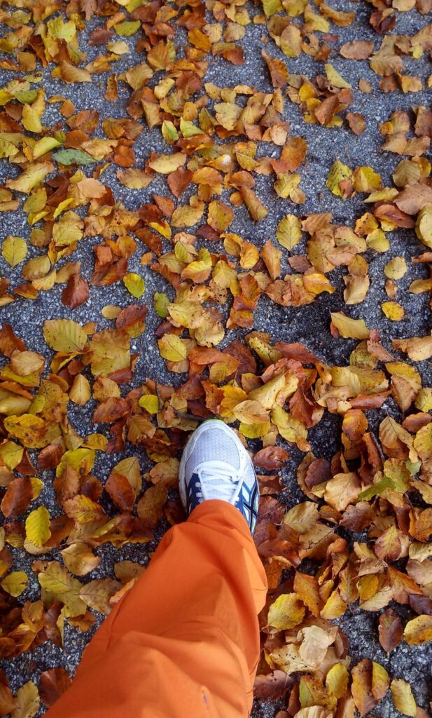 colori d'autunno! colori d'autunno!