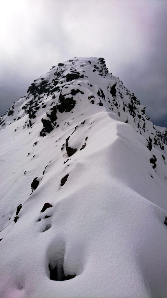 L'ultima parte di cresta che ci manca da attraversare per arrivare in vetta. Qualche passaggino in cui stare attenti a causa delle rocce imprevedibili sotto la neve che a volte destabilizzano un po'. Ad ogni modo, ormai ci siamo L'ultima parte di cresta che ci manca da attraversare per arrivare in vetta. Qualche passaggino in cui stare attenti a causa delle rocce imprevedibili sotto la neve che a volte destabilizzano un po'. Ad ogni modo, ormai ci siamo