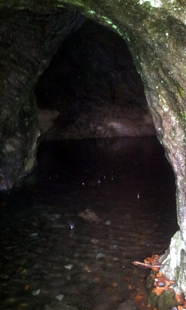 la grottina naturale, col fondo d'acqua che la copre la grottina naturale, col fondo d'acqua che la copre