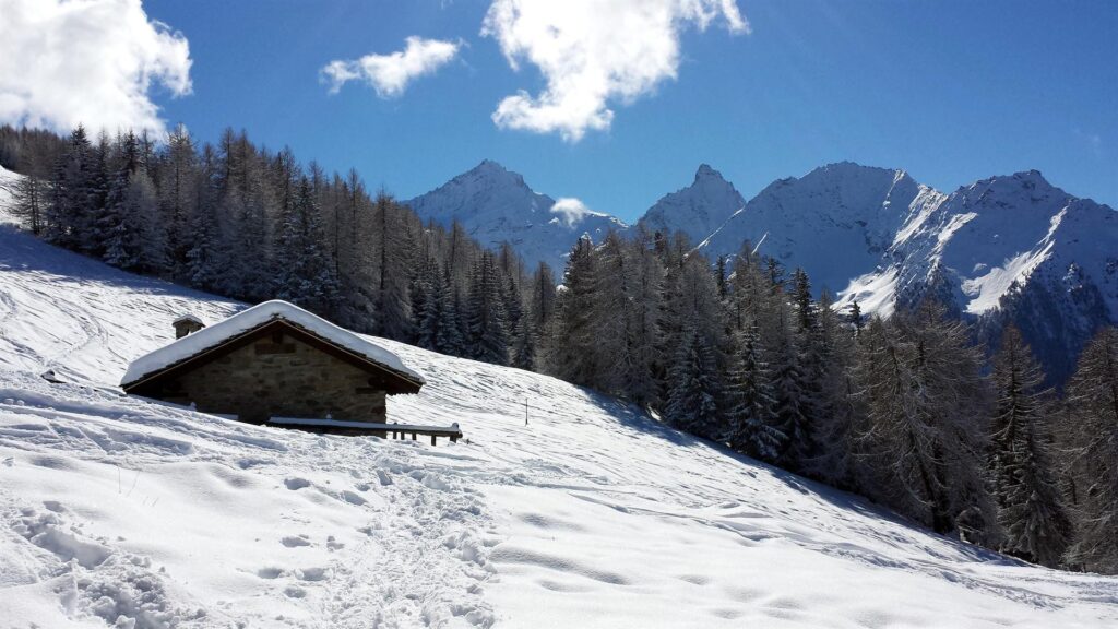 Mentre mi aspetta, Erica si guarda intorno e fotografa le belle malghe con la grivola