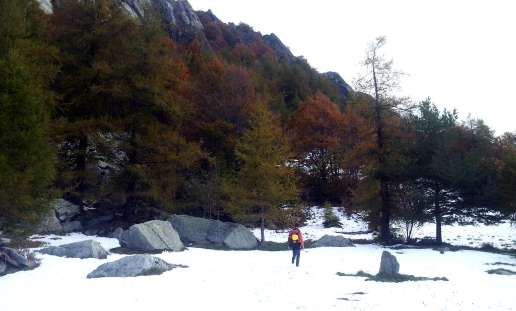 avvicinamento finale con attraversamento in 10-15 cm di fresca + bosco con foglie secche e erba di montagna scivolosa. uno spasso per i nostri eroi in scarpe da ginnastica... avvicinamento finale con attraversamento in 10-15 cm di fresca + bosco con foglie secche e erba di montagna scivolosa. uno spasso per i nostri eroi in scarpe da ginnastica...