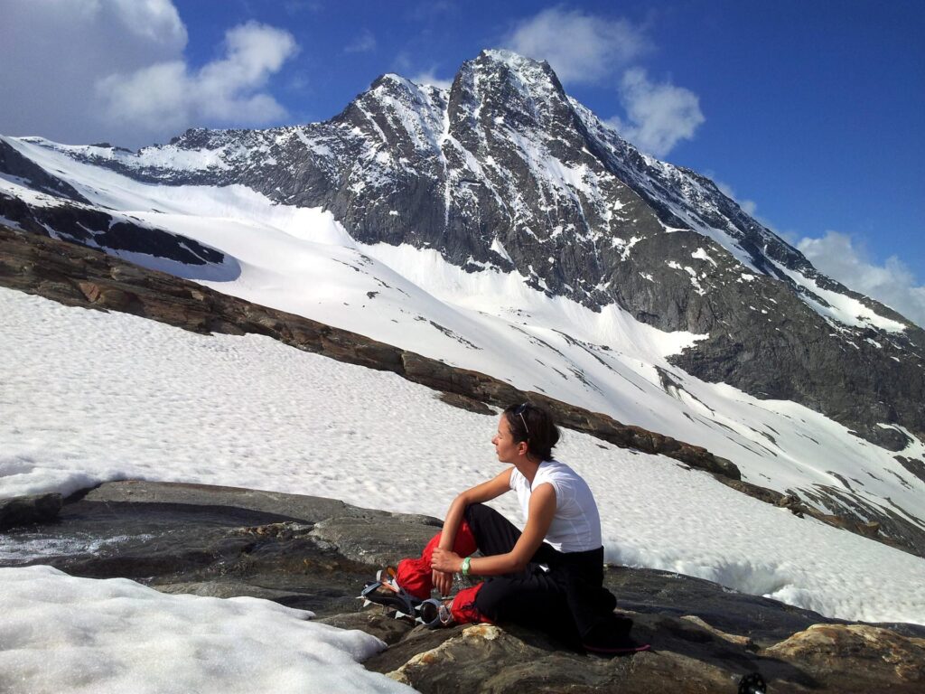 Mucca prende il sole davanti al profilo dell'Hübschhorn Mucca prende il sole davanti al profilo dell'Hübschhorn