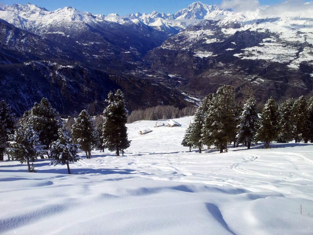 Dopo aver affrontato i boschi della parte alta, arrivo sopra alla malga dove mi aspetta Erica. Cerco di chiamarla per farmi fare almeno un video, ma il telefono non piglia, quindi niente video.