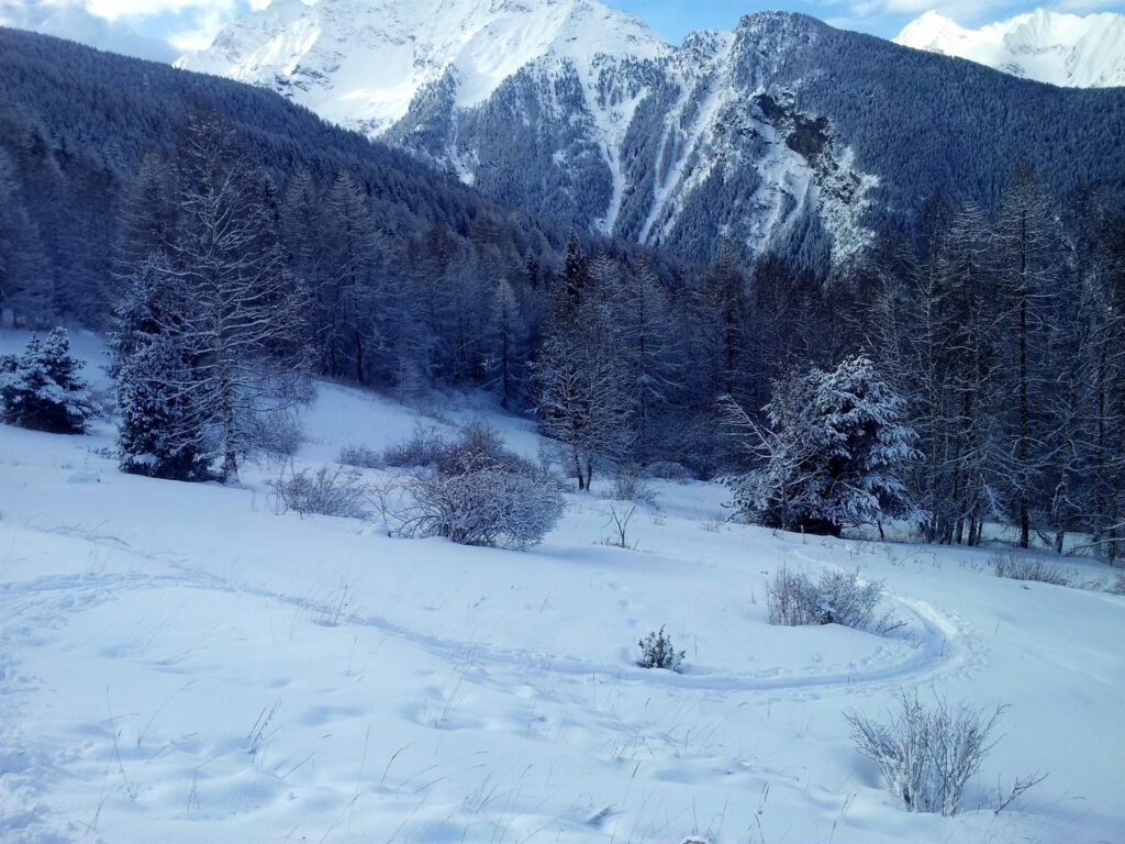 Mentre salgo, spesso mi guardo indietro per studiare le migliori strade di discesa. Oggi con sta bella neve, non vedo l'ora di scendere....
