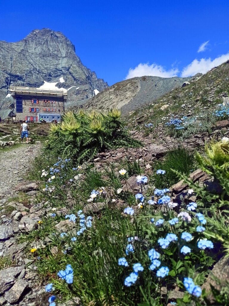 quasi arrivati al Rifugio Gastaldi
