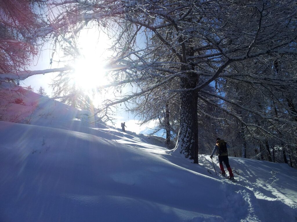 Dopo una parte di bosco pi&ugrave; pendente, sembra che stiamo per uscirne....in realt&agrave; ci sar&agrave; solo una piccola radura. Avremo ancora molto bosco da affrontare!