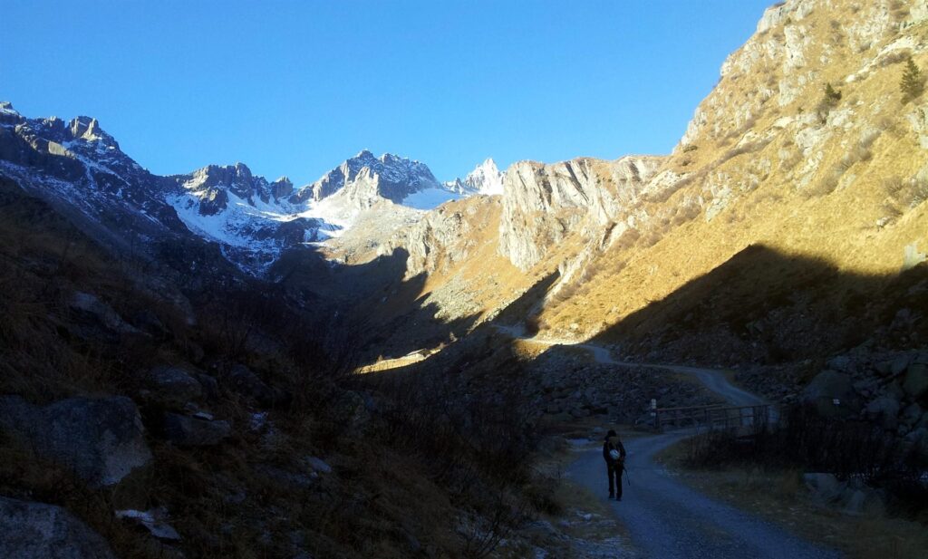 La strada della val d'Amola che conduce verso la teleferica e il sentiero per il rifugio Segantini La strada della val d'Amola che conduce verso la teleferica e il sentiero per il rifugio Segantini
