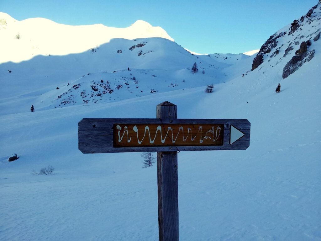 Eccoci dopo quasi 4 km all'attacco della salita vera e propria. Troviamo questo cartello subito a valle di un pendente dirupo che dovremo risalire. Io lo interpreto così: "eh ho capito che siete francesi e saputelli, ma lo so da me che devo fare le S per salire in scialpinismo su ste pendenze! mica pensavo di salire su dritto come un ciula!!". In realtà......quella che si vede è la colla del cartello, da cui è stata staccata la parte superiore con la scritta Eccoci dopo quasi 4 km all'attacco della salita vera e propria. Troviamo questo cartello subito a valle di un pendente dirupo che dovremo risalire. Io lo interpreto così: "eh ho capito che siete francesi e saputelli, ma lo so da me che devo fare le S per salire in scialpinismo su ste pendenze! mica pensavo di salire su dritto come un ciula!!". In realtà......quella che si vede è la colla del cartello, da cui è stata staccata la parte superiore con la scritta