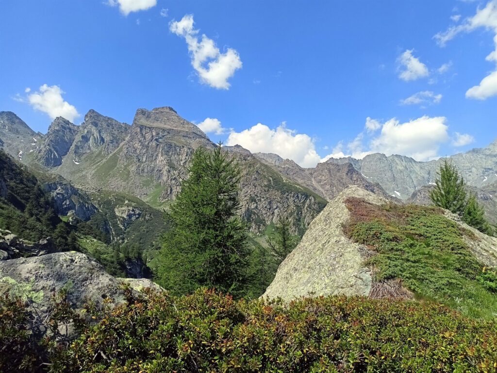 siamo arrivati in cima al Passo di Tovo, ora bisogna scollinare