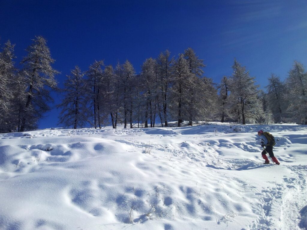 Erica risale il secondo tratto di bosco, che ci porter&agrave; presto ad un alpeggio