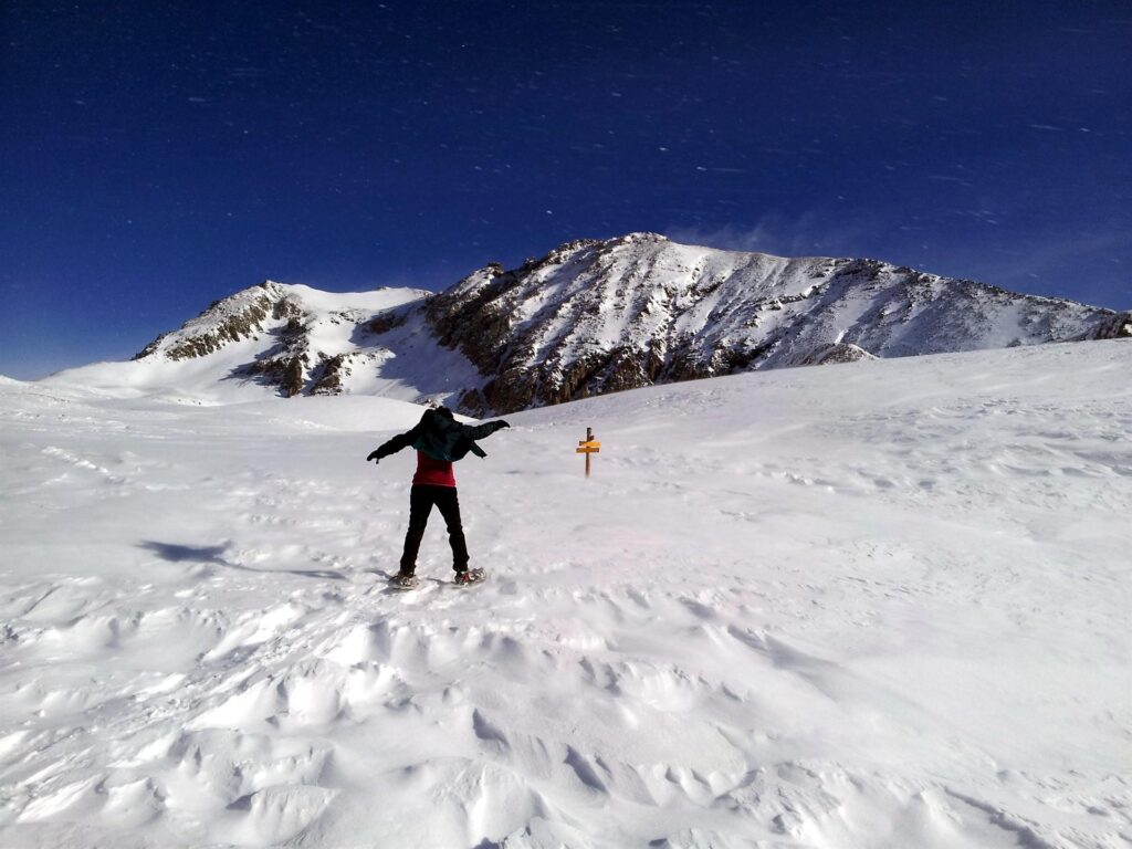 Il versante opposto sembra molto meglio innevato, e anche con delle salite interessanti. Decidiamo per quello, anche se non sappiamo dove andremo a finire. Dopo aver risalito un bel boschetto e una serie di gobbe, ci ritroviamo in prossimità di un cartello che ci dirà dove cavolo siamo finiti. Qui il vento batte con raffiche improvvise di 50km/h che ti spostano!! Vediamo Erica, all'approccio del cartello che ci indicherà dove siamo finiti e dove stiamo andando. Il versante opposto sembra molto meglio innevato, e anche con delle salite interessanti. Decidiamo per quello, anche se non sappiamo dove andremo a finire. Dopo aver risalito un bel boschetto e una serie di gobbe, ci ritroviamo in prossimità di un cartello che ci dirà dove cavolo siamo finiti. Qui il vento batte con raffiche improvvise di 50km/h che ti spostano!! Vediamo Erica, all'approccio del cartello che ci indicherà dove siamo finiti e dove stiamo andando.