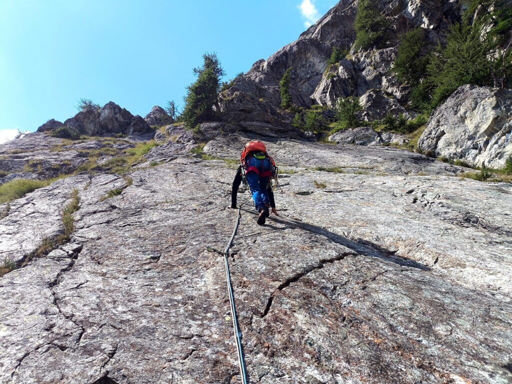 Erica sulla placca del primo tiro