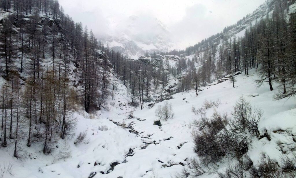 Ecco la valle che dobbiamo risalire e il fiume Lys, di cui oggi raggiungeremo la fonte Ecco la valle che dobbiamo risalire e il fiume Lys, di cui oggi raggiungeremo la fonte