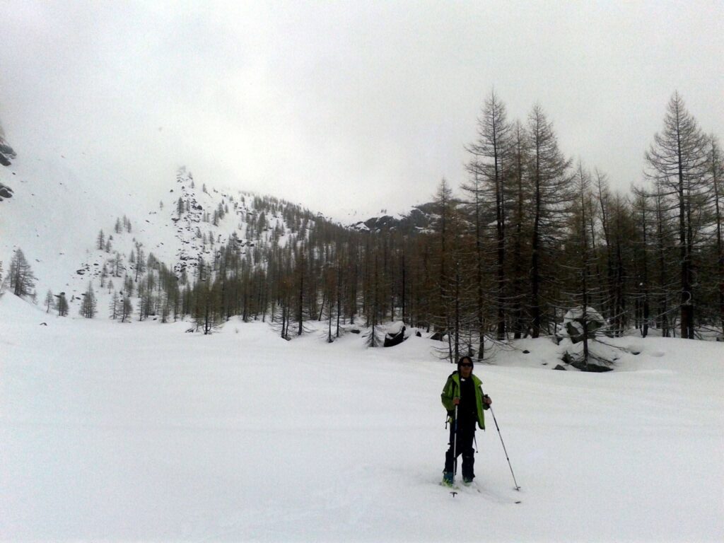 Eccoci sul bel falsopiano boschettoso che dovremo attraversare fino a fondo valle per poi risalire sul fronte sinistro della valle. Eccoci sul bel falsopiano boschettoso che dovremo attraversare fino a fondo valle per poi risalire sul fronte sinistro della valle.
