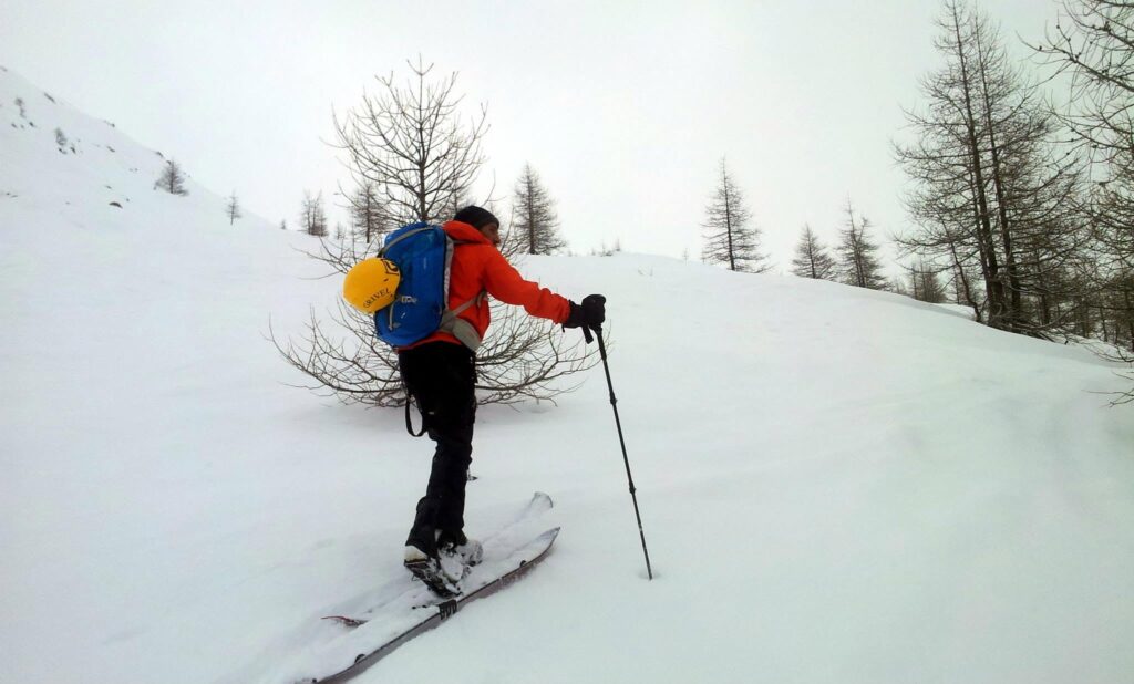 Abbiamo risalito il bosco e cerchiamo di raggiungere un punto di osservazione da cui si vedano i seracchi del Lyskamm Abbiamo risalito il bosco e cerchiamo di raggiungere un punto di osservazione da cui si vedano i seracchi del Lyskamm