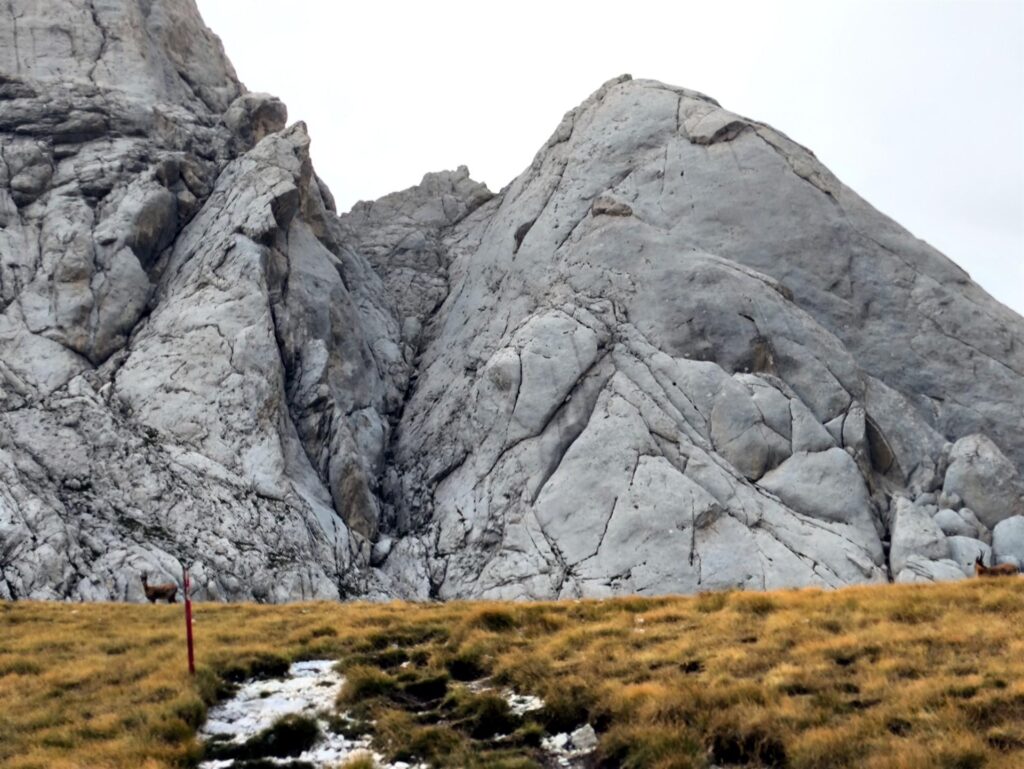 la seconda spalla vista dal sentiero... l'avvicinamento qui &egrave; piuttosto comodo