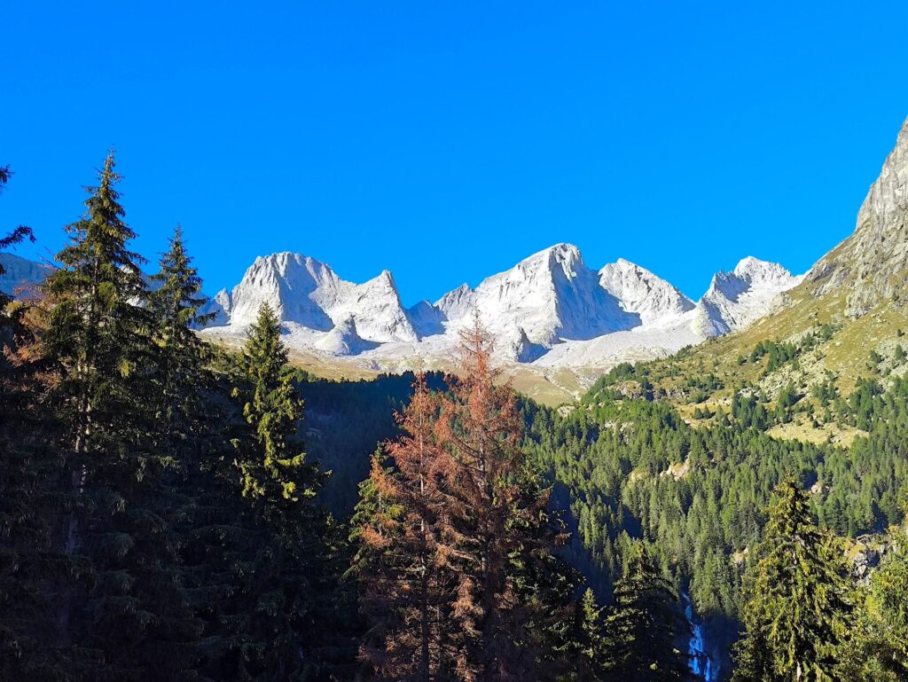 Guardando invece verso la val Porcellizzo si gode dello splendore del Badile e del Cengalo, quest'anno senza neanche uno sputo di neve :(