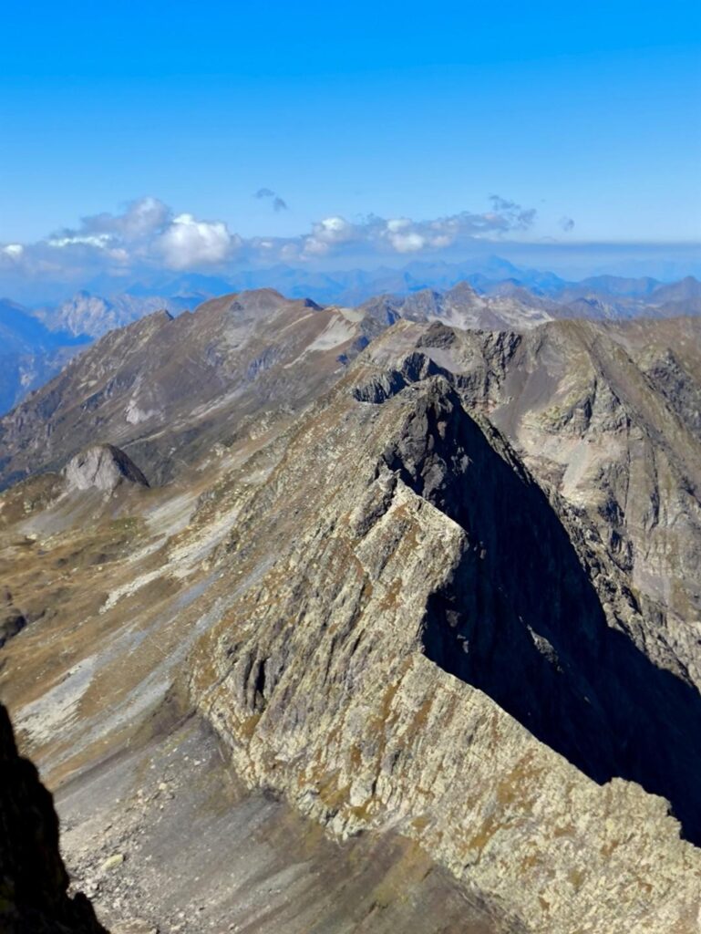 sempre il Rondenino con la sua forma... tagliata con il coltello sempre il Rondenino con la sua forma... tagliata con il coltello