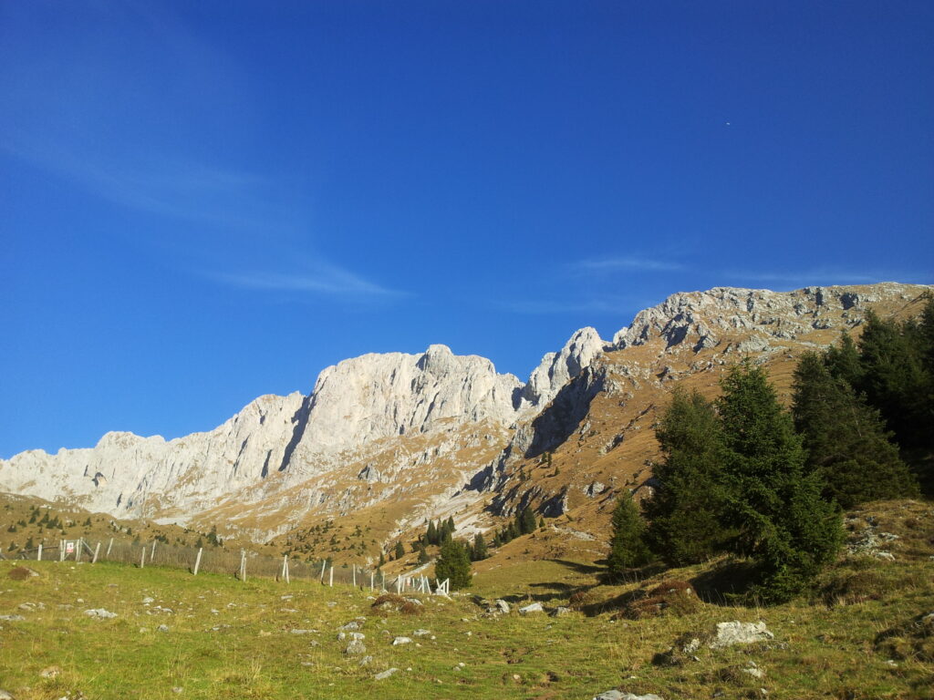 parto dal passo della Presolana (1297mt) e dopo la prima mezz'oretta nel bosco, appare la mia meta con il primo sole e il primo cielo terso. niente male!