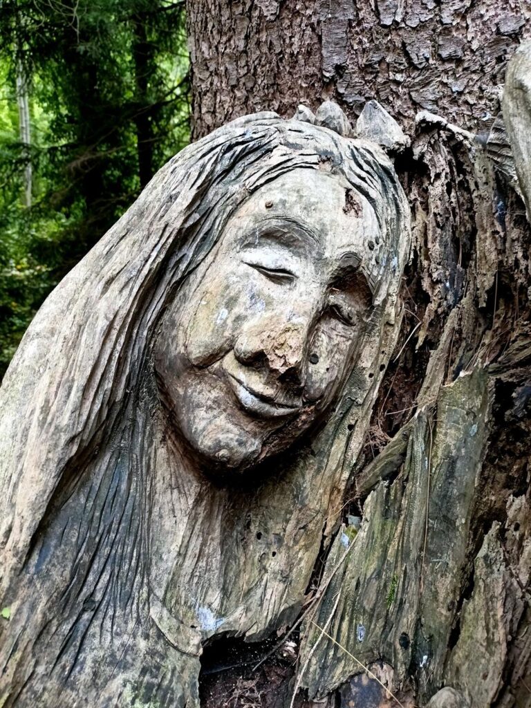 lungo il sentiero Spirito del Bosco lungo il sentiero Spirito del Bosco