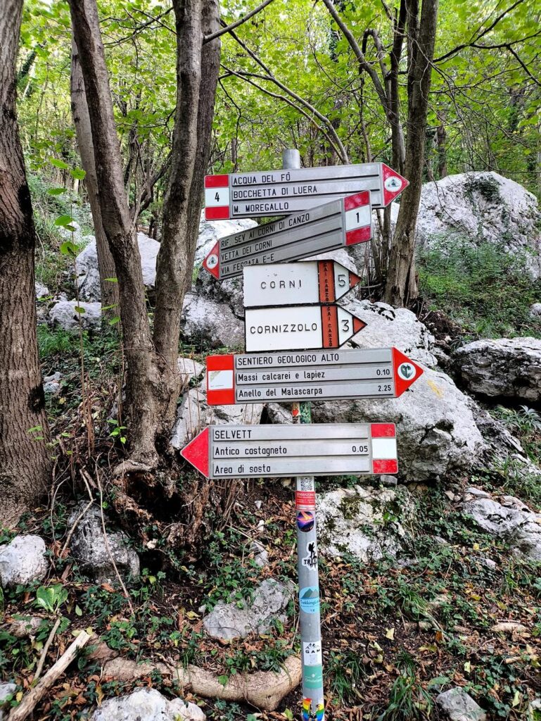 il bivio appena sopra Terz'Alpe, si prosegue lungo il sentiero n°1 il bivio appena sopra Terz'Alpe, si prosegue lungo il sentiero n°1